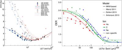 Linking Microdosimetric Measurements to Biological Effectiveness in Ion Beam Therapy: A Review of Theoretical Aspects of MKM and Other Models